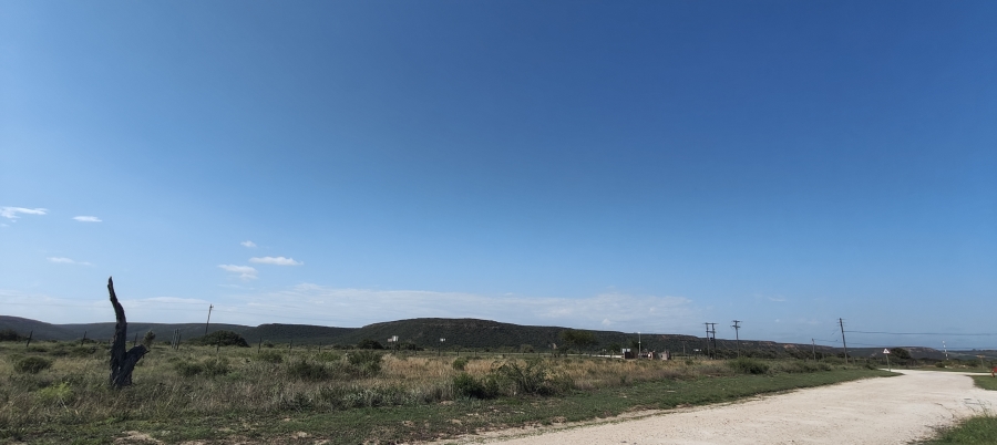 0 Bedroom Property for Sale in Colchester Eastern Cape